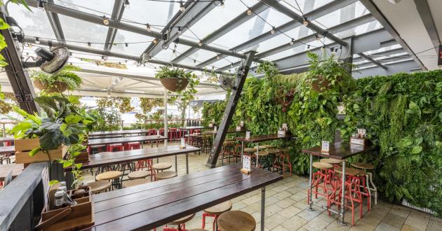 The Beer Garden