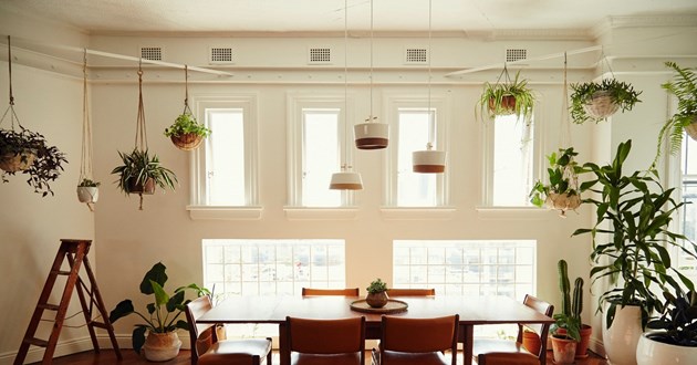 Creative Office in Darlinghurst / Surry Hills