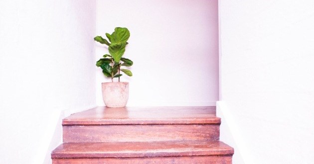 Room for rent is health & Wellness Hub