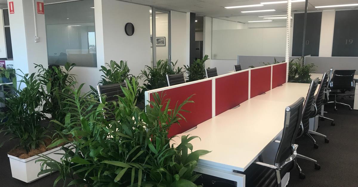 Flexi-Desk in Surry Hills