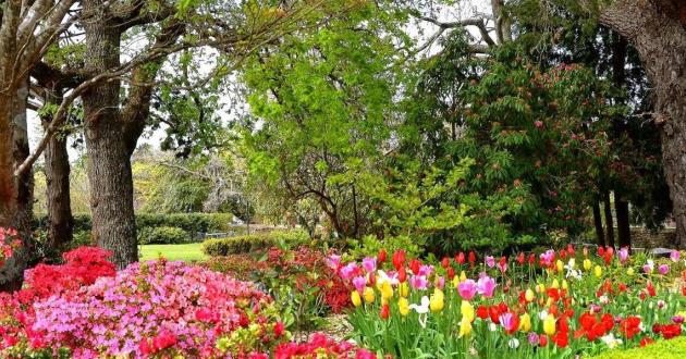 Lady Fairfax Lawn