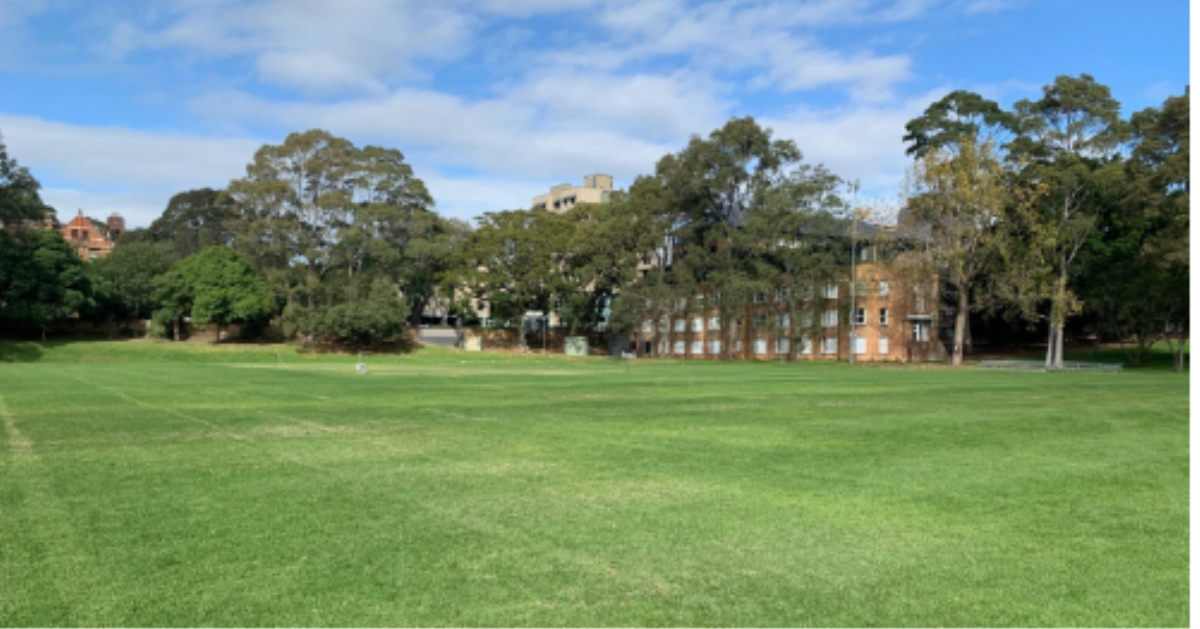 The Oval