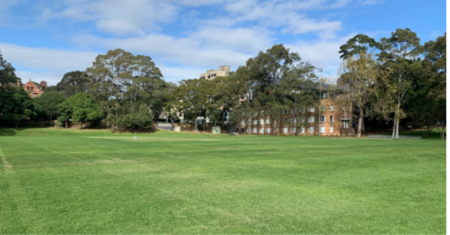 The Oval