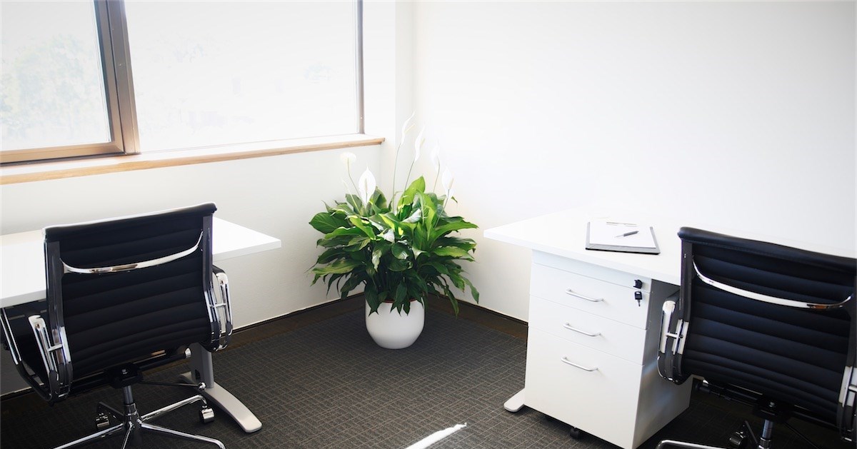 Day Suite in Edgecliff