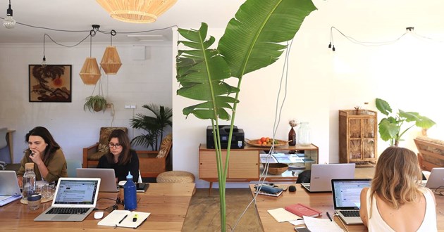 Permanent Desk in Byron Bay