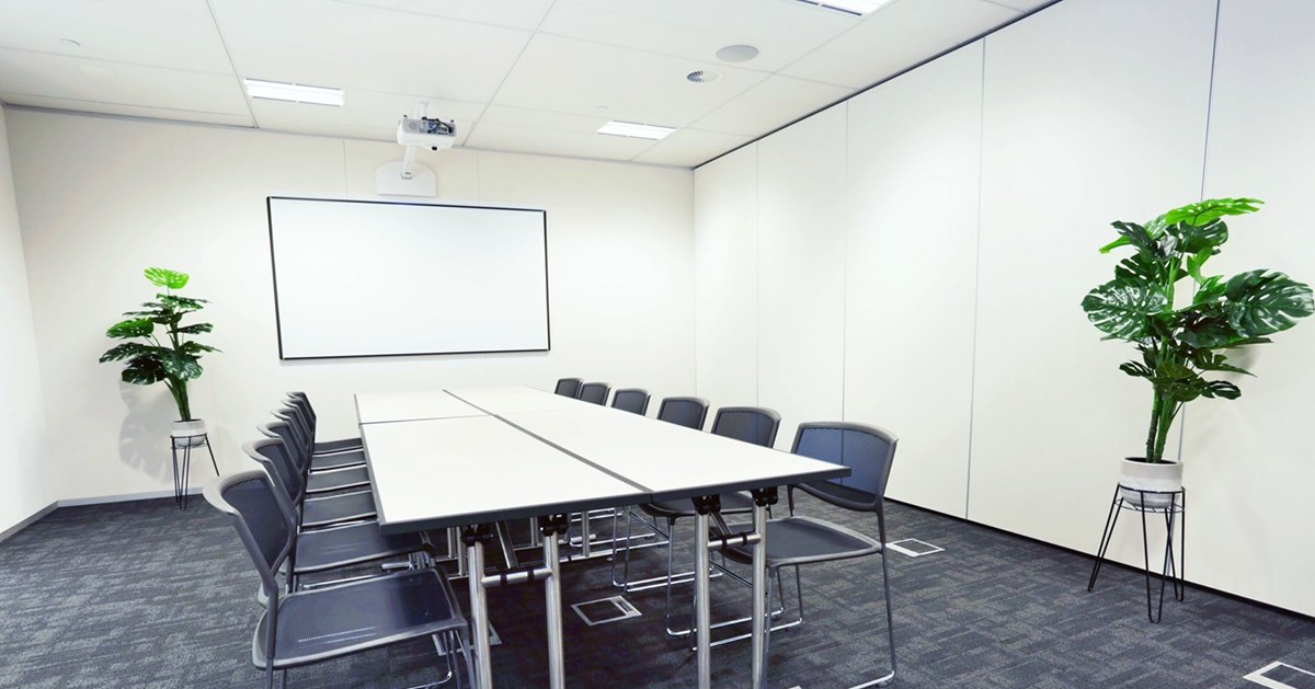 12-20 Person Training Room
