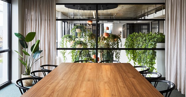 Light filled 12 Person Meeting Space (B)