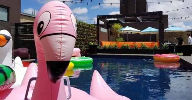 The Pool Deck