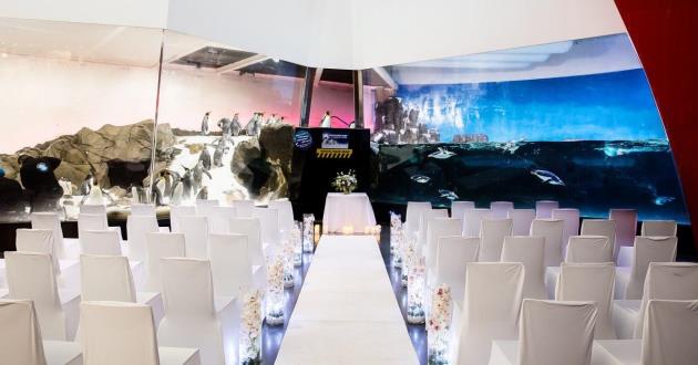 Antarctica Function Room
