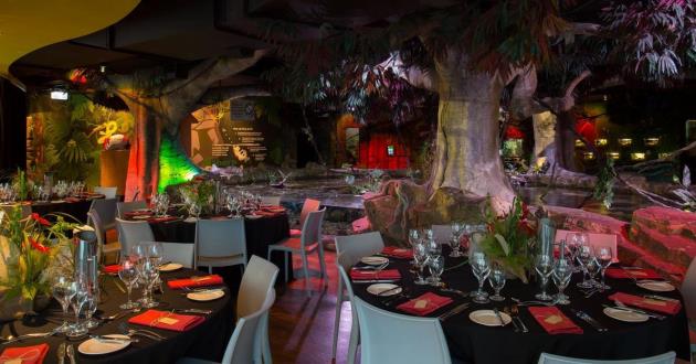 Rainforest Themed Upper Deck