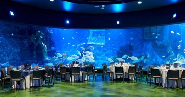 Fish Bowl Function Space