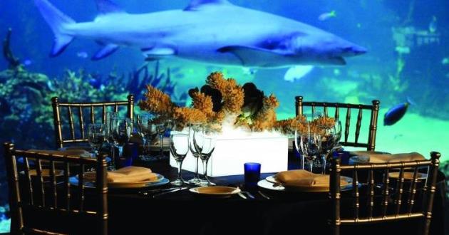 Great Barrier Reef