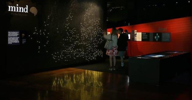 Mind & Body Gallery