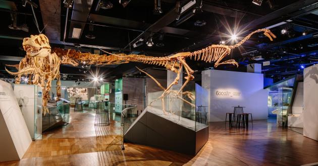 Science & Life Gallery