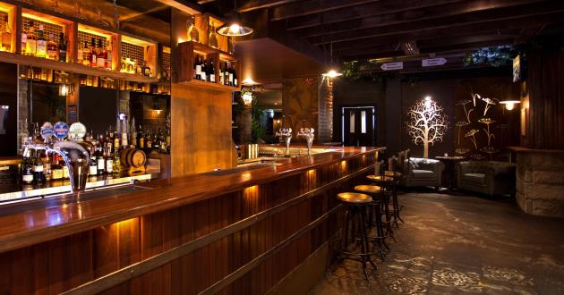 Modern Rustic Main Bar